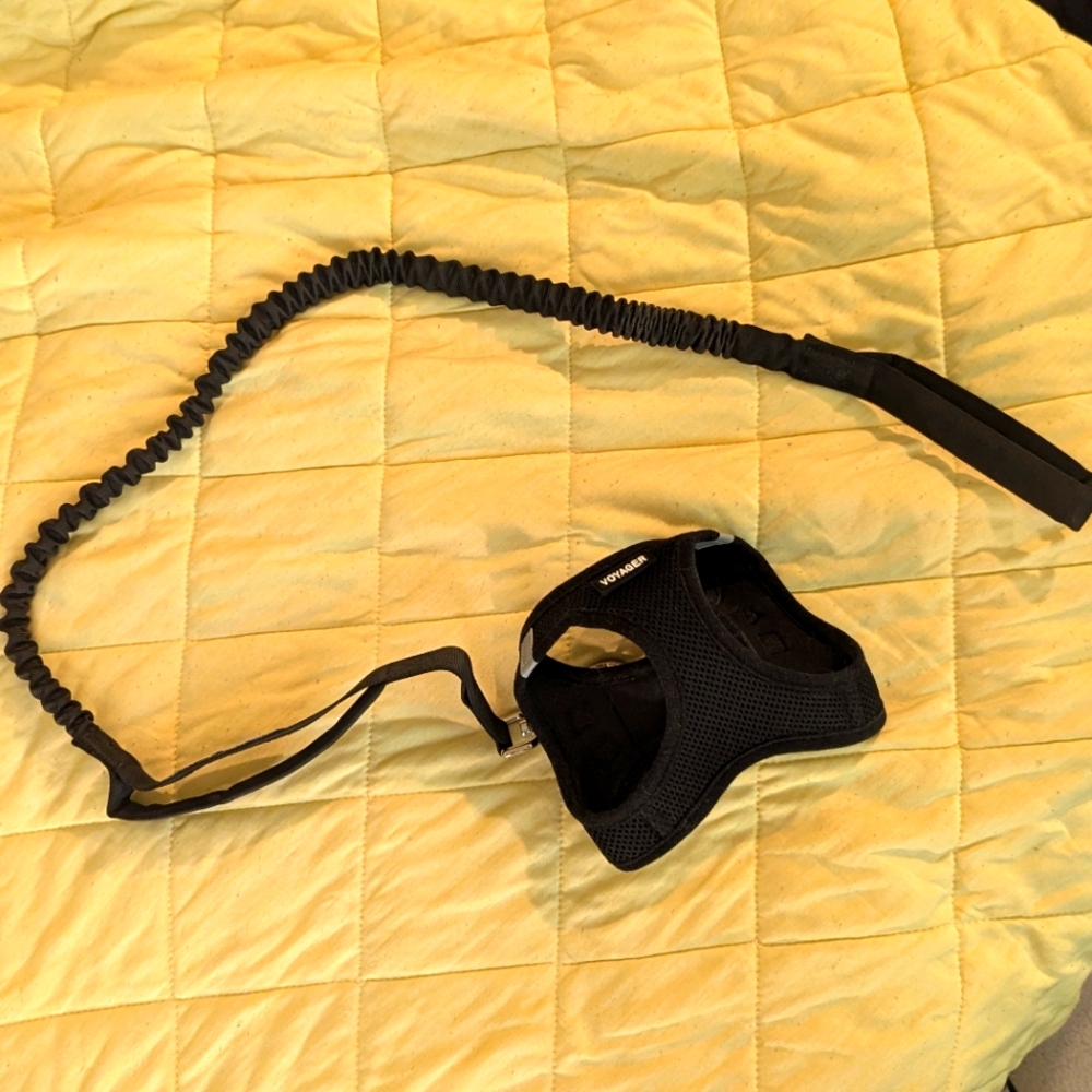 Pet Harness And Leash